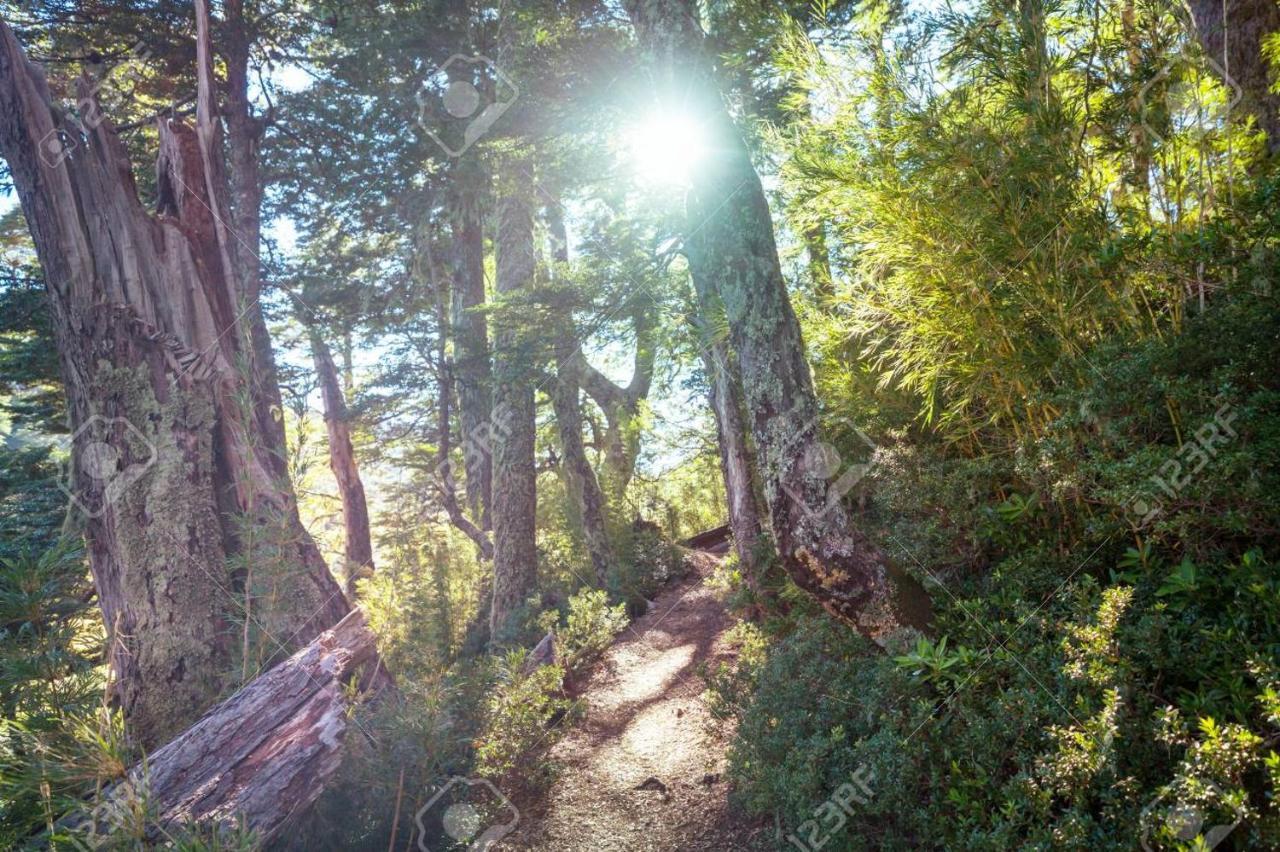 Foret Austral Ranomafana 외부 사진